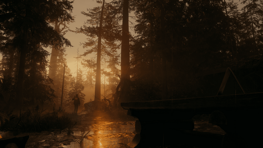 Гра Alan Wake 2 Deluxe Edition (PS5) (Українськи субтитри) 5056635609427 фото
