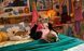 Ігрова консоль ASUS ROG Ally (90NV0GY1-M00560) UA 90NV0GY1-M00560 фото 24