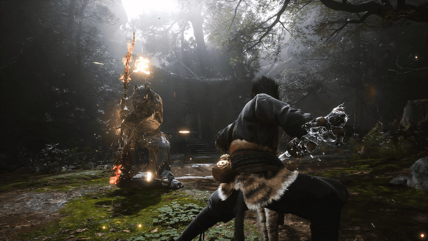 Игра Black Myth: Wukong (PS5) 5056635611864 фото