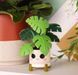 Фігурка Funko POP Home: Kawaii Monstera Plant (889698883825) 889698883825 фото 3