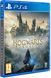 Игра Hogwarts Legacy (PS4) 5051895413418 фото 2