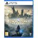 Гра Hogwarts Legacy (PS5) 5051895413425 фото 1