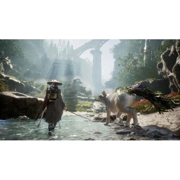 Игра Beast of Reincarnation&nbsp;PS5 PPSA-29344 фото