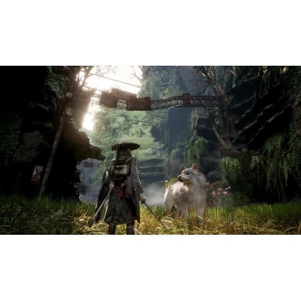 Игра Beast of Reincarnation&nbsp;PS5 PPSA-29344 фото