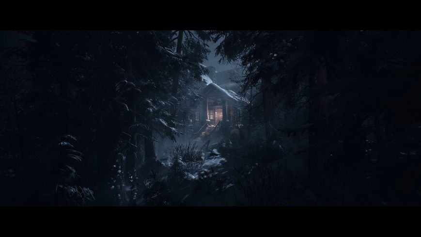 Гра UNTIL DAW (PS5) 1000044321 фото
