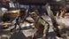 Игра Dying Light 2 Stay Human (PS4, Бесплатное обновление для PS5) 5902385108928 фото 4