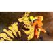 Гра Naruto X Boruto Ultimate Ninja Storm Connections PS5 NXBUMSC фото 7