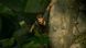 Гра Uncharted: Legacy of Thieves Collection (PS5) 9792598 фото 5