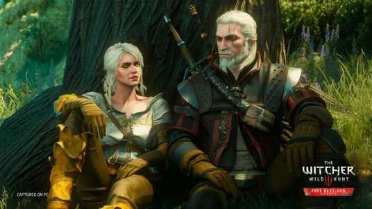 Купить Игра The Witcher 3: Wild Hunt (Nintendo Switch