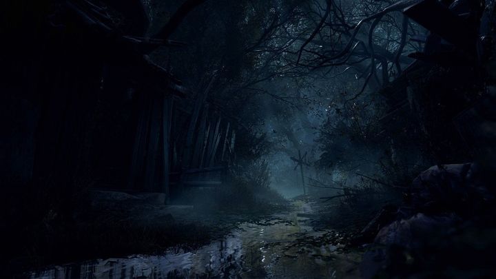 Игра Resident Evil 4 PS5 RE4PS5 фото