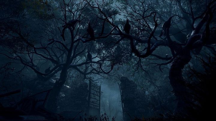 Игра Resident Evil 4 PS5 RE4PS5 фото